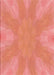Machine Washable Transitional Bright Orange Rug, wshpat1776rd