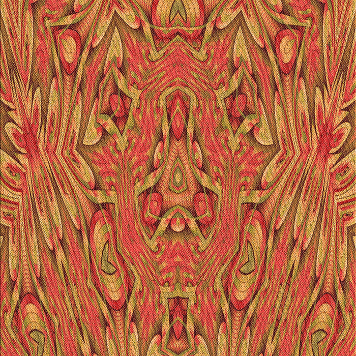 Machine Washable Transitional Orange Rug, wshpat1777org