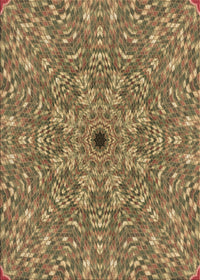 Machine Washable Transitional Red Brown Rug, wshpat1778brn