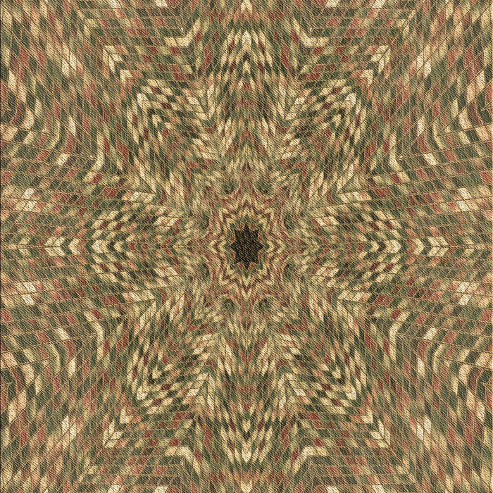 Machine Washable Transitional Red Brown Rug, wshpat1778brn