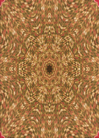 Machine Washable Transitional Orange Rug, wshpat1778org