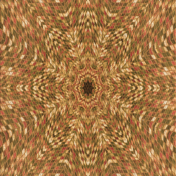 Machine Washable Transitional Orange Rug, wshpat1778org