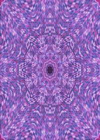 Machine Washable Transitional Purple Rug, wshpat1778pur