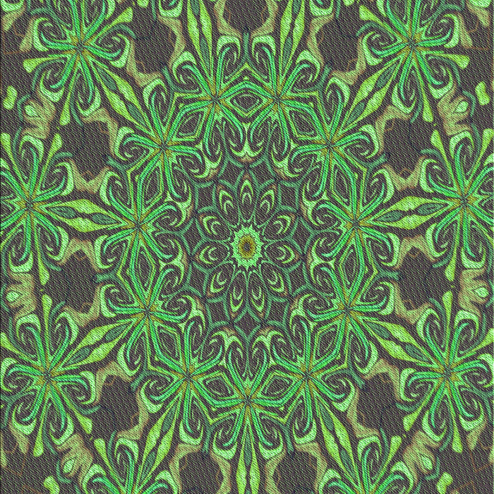 Machine Washable Transitional Black Rug, wshpat178grn