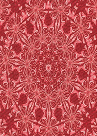 Machine Washable Transitional Red Rug, wshpat178rd