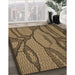 Machine Washable Transitional Bronze Brown Rug in a Family Room, wshpat1785brn