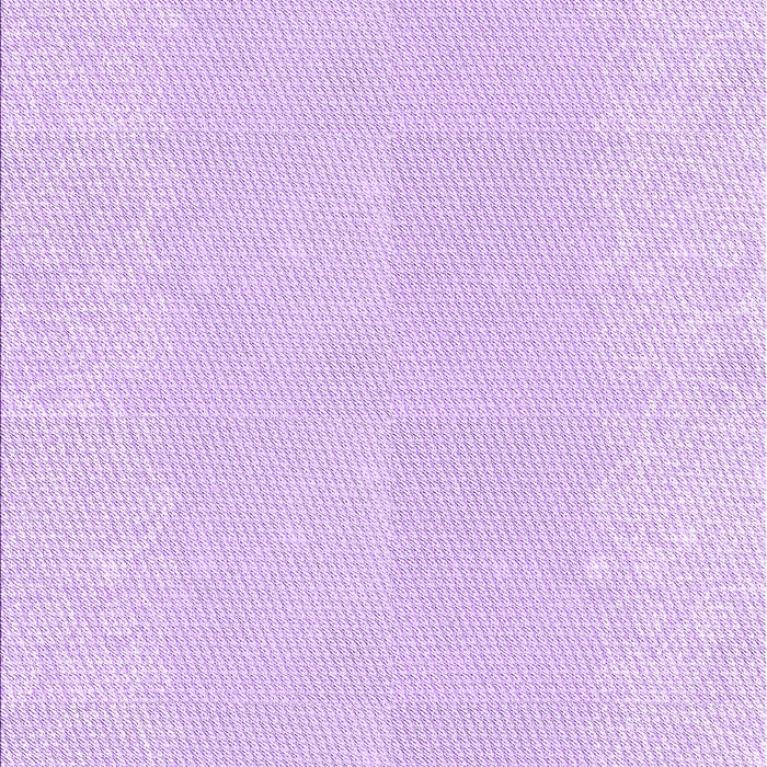 Machine Washable Transitional Violet Purple Rug, wshpat1786pur