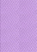 Machine Washable Transitional Purple Rug, wshpat1788pur