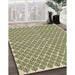 Machine Washable Transitional Khaki Gold Rug in a Family Room, wshpat1789brn