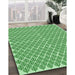 Patterned Light Green Rug in Family Room, pat1789grn