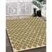 Patterned Khaki Gold Rug in Family Room, pat1789org