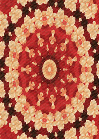 Machine Washable Transitional Orange Rug, wshpat179org