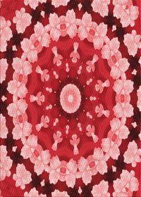 Machine Washable Transitional Light Coral Pink Rug, wshpat179rd