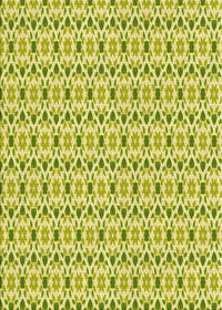 Machine Washable Transitional Pistachio Green Rug, wshpat1792yw