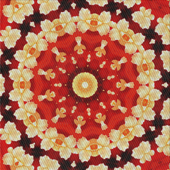 Sideview of Machine Washable Transitional Red Rug, wshpat179