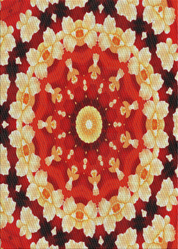 Machine Washable Transitional Red Rug, wshpat179