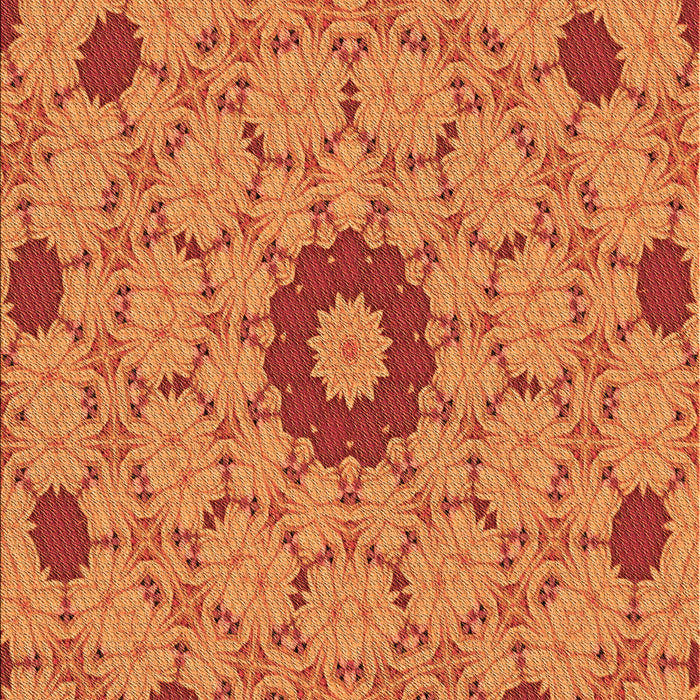 Machine Washable Transitional Scarlet Red Rug, wshpat180org