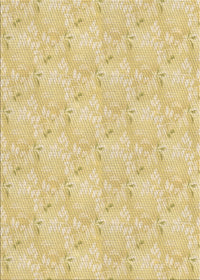 Machine Washable Transitional Golden Gold Rug, wshpat1802brn