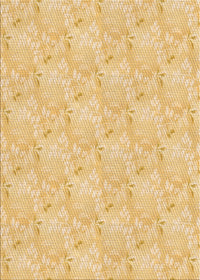 Machine Washable Transitional Yellow Rug, wshpat1802org