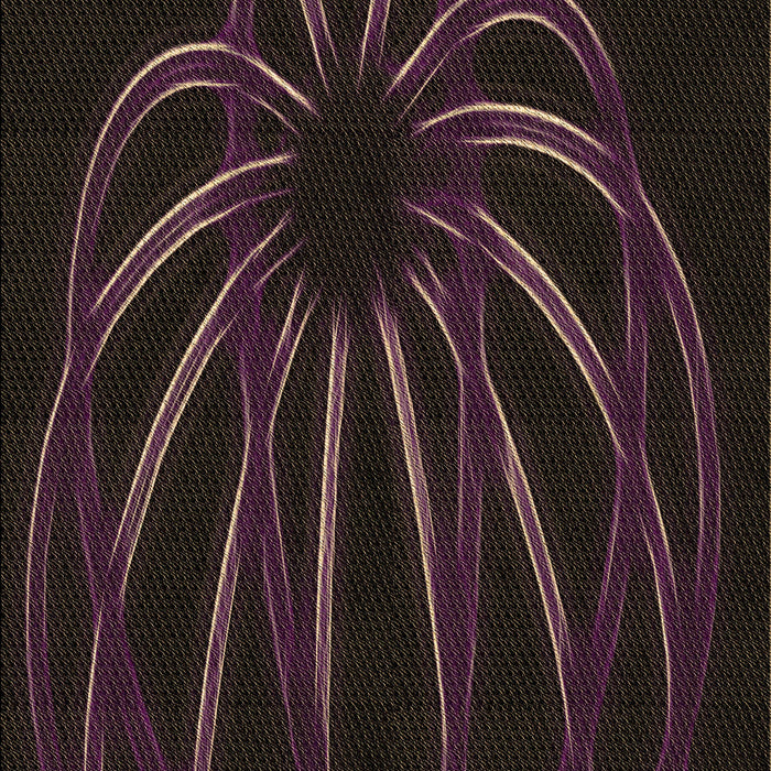 Patterned Dark Brown Rug, pat1806brn