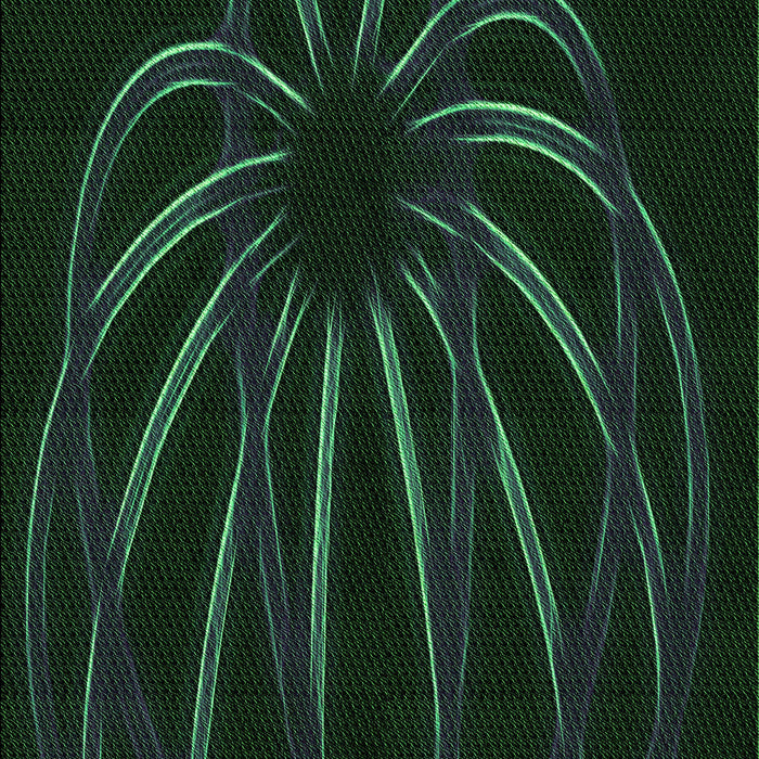 Patterned Deep Emerald Green Rug, pat1806grn