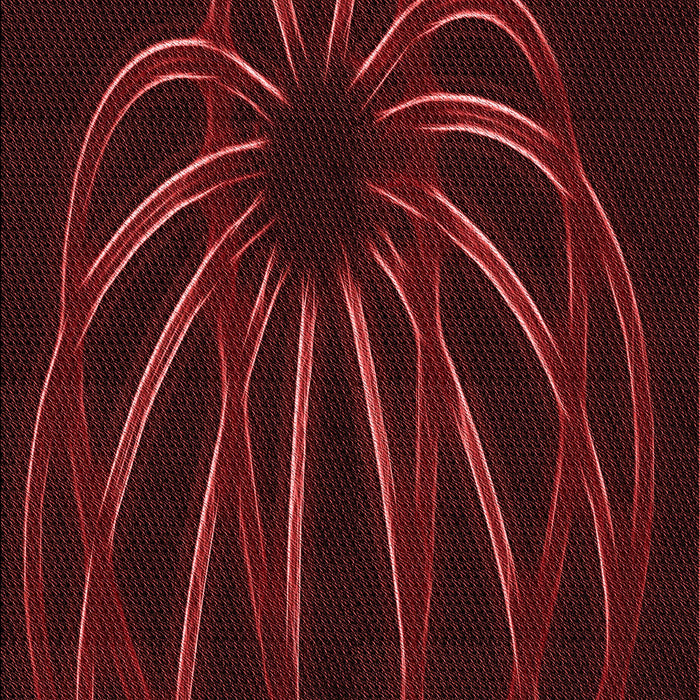 Machine Washable Transitional Saffron Red Rug, wshpat1806rd