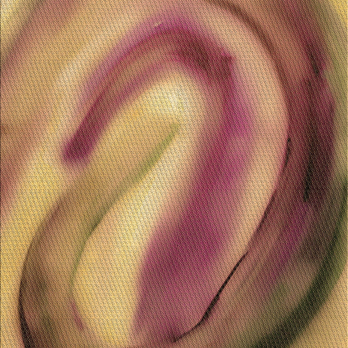 Machine Washable Transitional Brown Red Rug, wshpat181brn