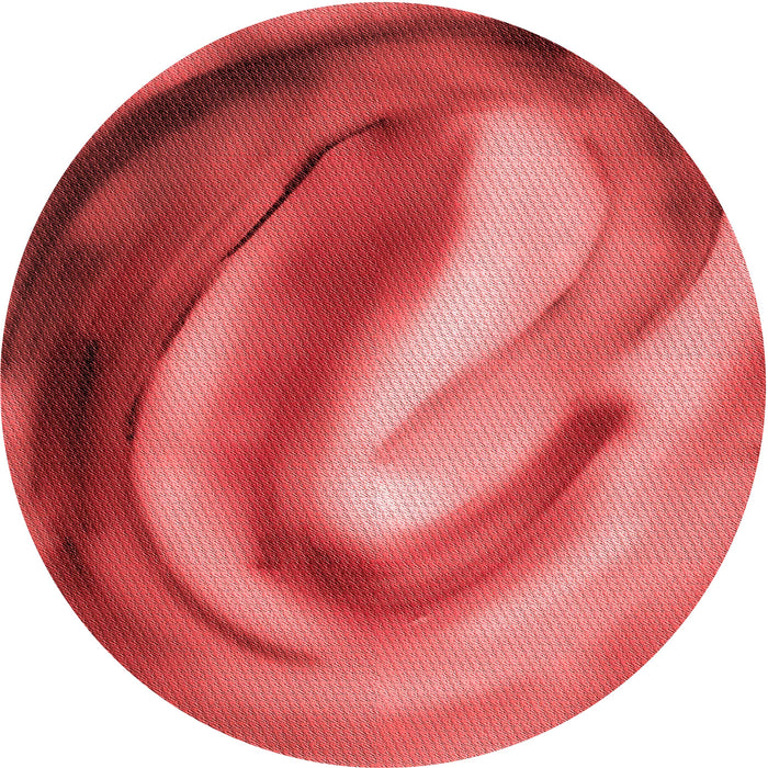 Square Machine Washable Transitional Red Rug in a Living Room, wshpat181rd