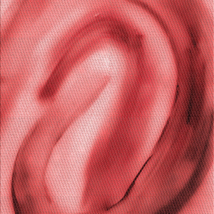 Machine Washable Transitional Red Rug, wshpat181rd