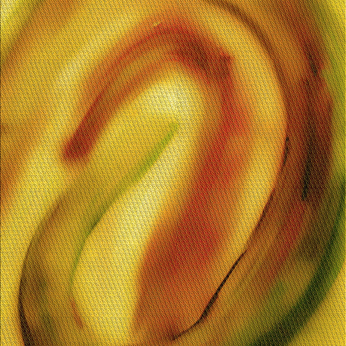 Machine Washable Transitional Mahogany Brown Rug, wshpat181yw