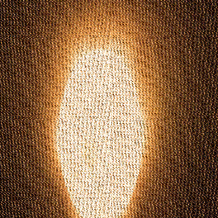 Machine Washable Transitional Bronze Brown Rug, wshpat1812org