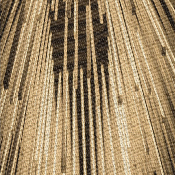 Machine Washable Transitional Red Brown Rug, wshpat1814brn