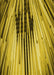 Patterned Bright Gold Yellow Rug, pat1814yw