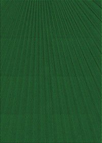 Machine Washable Transitional Green Rug, wshpat1817grn