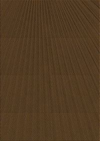 Machine Washable Transitional Dark Bronze Brown Rug, wshpat1817org