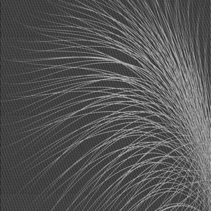 Patterned Charcoal Black Rug, pat1818gry