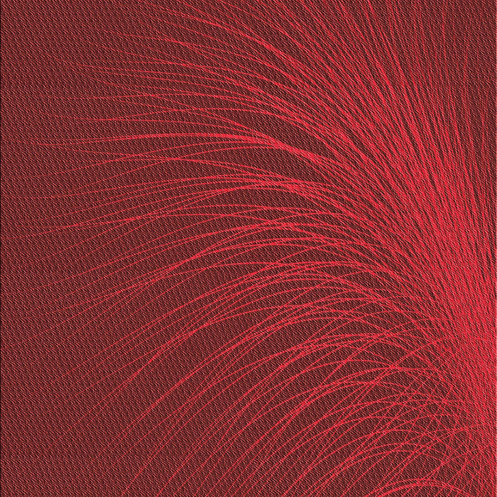 Machine Washable Transitional Red Rug, wshpat1818rd