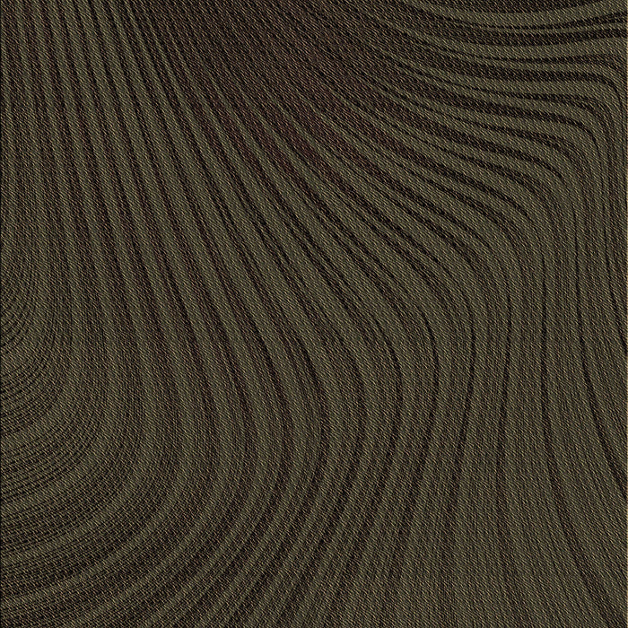 Machine Washable Transitional Dark Brown Rug, wshpat1819brn