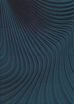 Patterned Black Novelty Rug, pat1819
