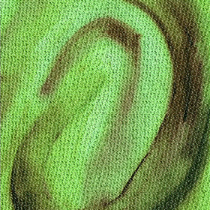 Patterned Green Rug, pat182grn