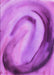 Machine Washable Transitional Violet Purple Rug, wshpat182pur