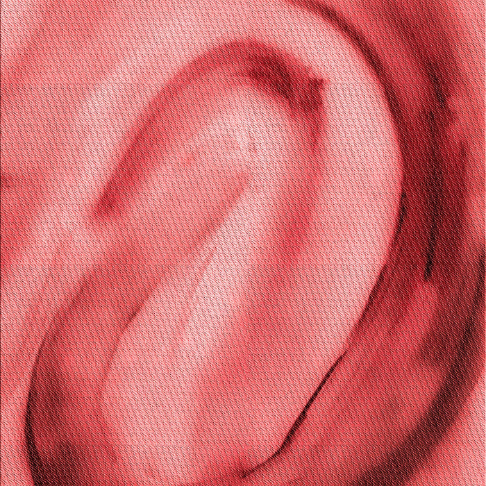 Machine Washable Transitional Red Rug, wshpat182rd