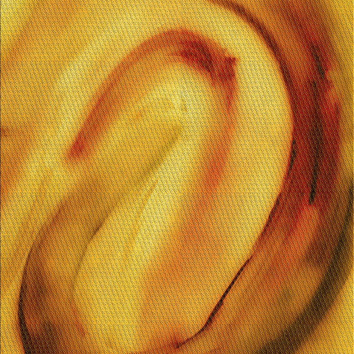 Machine Washable Transitional Mahogany Brown Rug, wshpat182yw