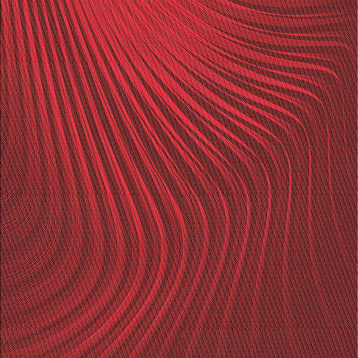 Machine Washable Transitional Cranberry Red Rug, wshpat1820rd