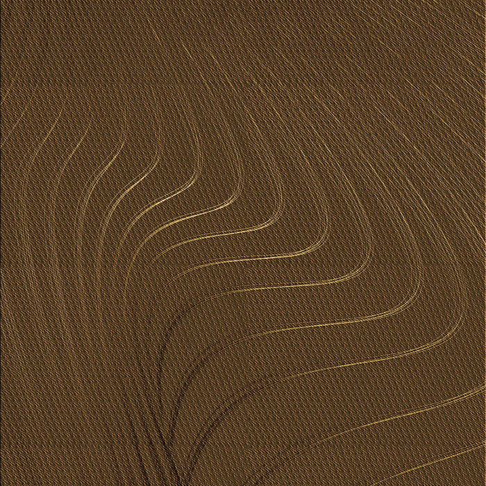 Machine Washable Transitional Saddle Brown Rug, wshpat1821org