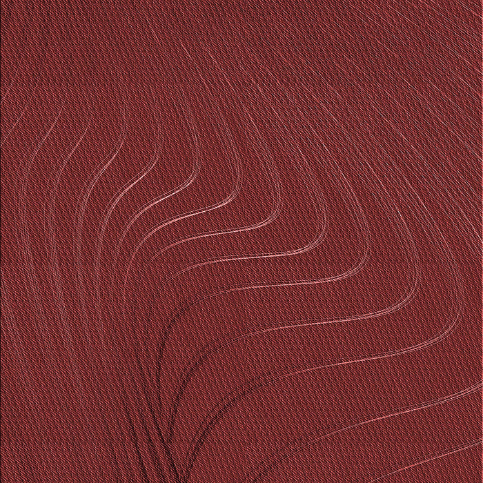 Machine Washable Transitional Red Rug, wshpat1821rd