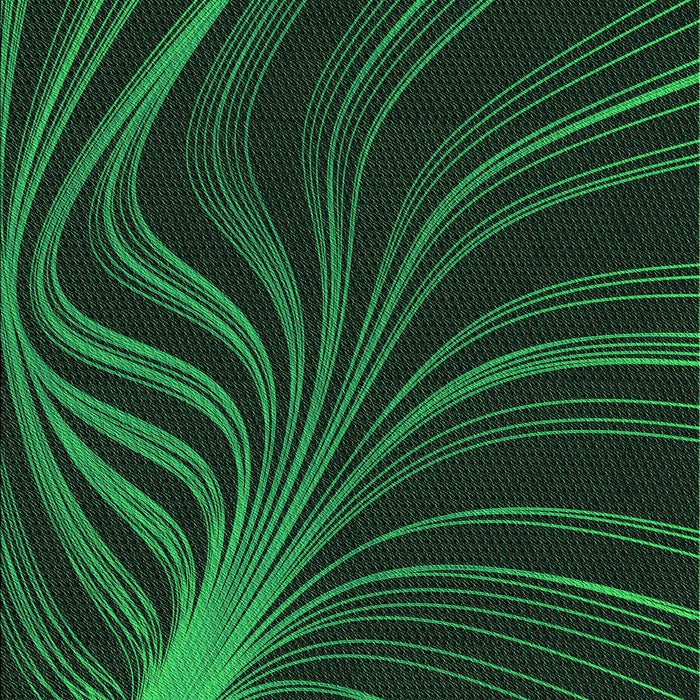 Machine Washable Transitional Black Rug, wshpat1823grn