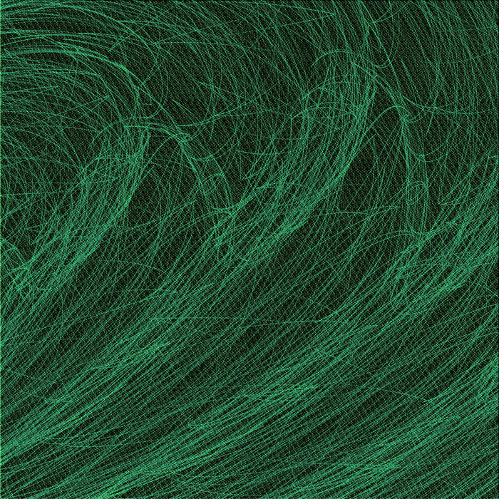 Round Patterned Black Rug, pat1828grn