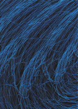 Machine Washable Transitional Black Rug, wshpat1828