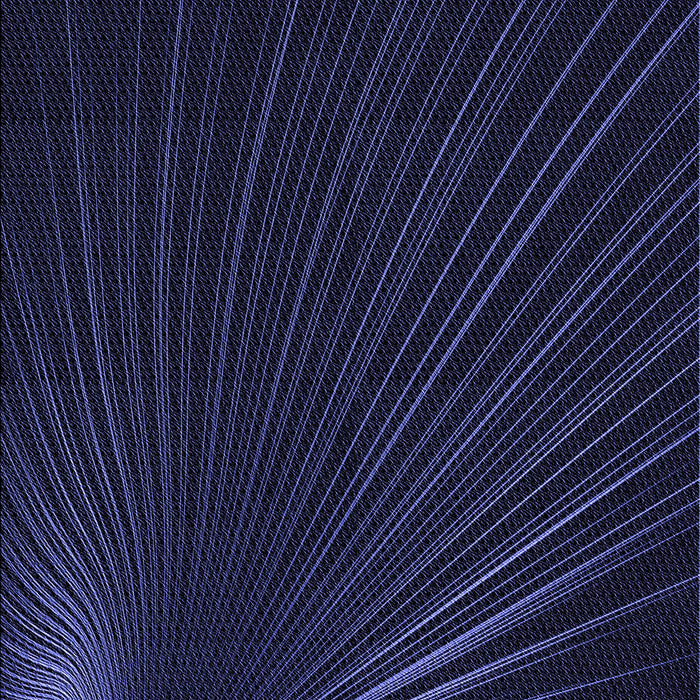 Patterned Black Rug, pat1829blu